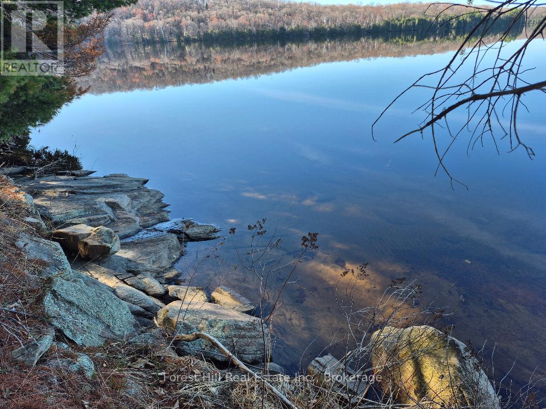 2193 Fern Glen Road S, Mcmurrich/monteith, Ontario  P0A 1Y0 - Photo 3 - X12898030