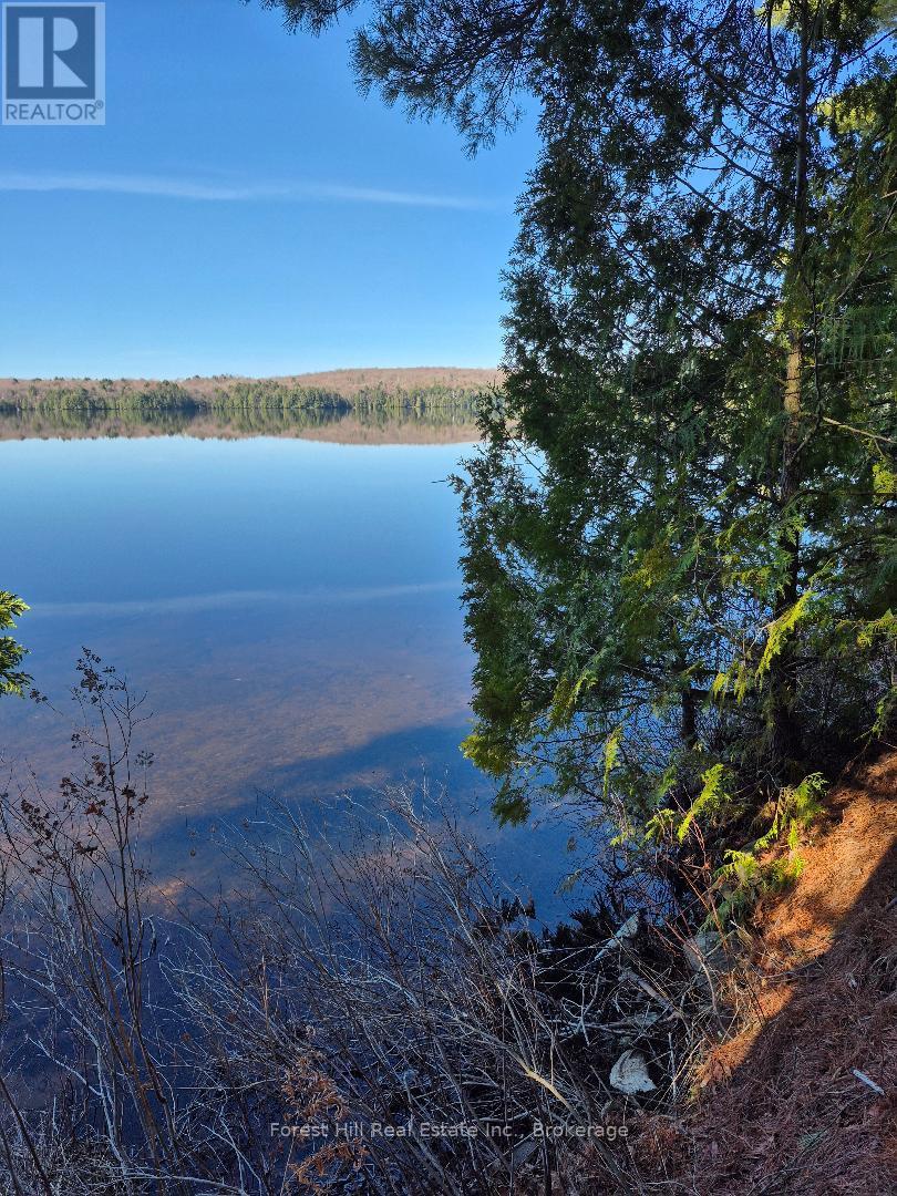 2193a Fern Glen Road S, Mcmurrich/monteith, Ontario  P0A 1Y0 - Photo 2 - X12898436