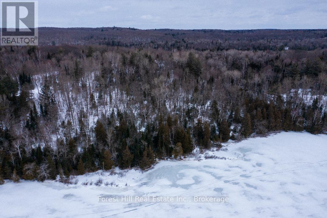 2193 Fern Glen Road S, Mcmurrich/monteith, Ontario  P0A 1Y0 - Photo 7 - X12898030