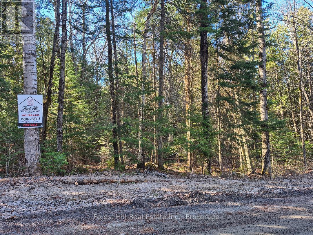 2193a Fern Glen Road S, Mcmurrich/monteith, Ontario  P0A 1Y0 - Photo 6 - X12898436