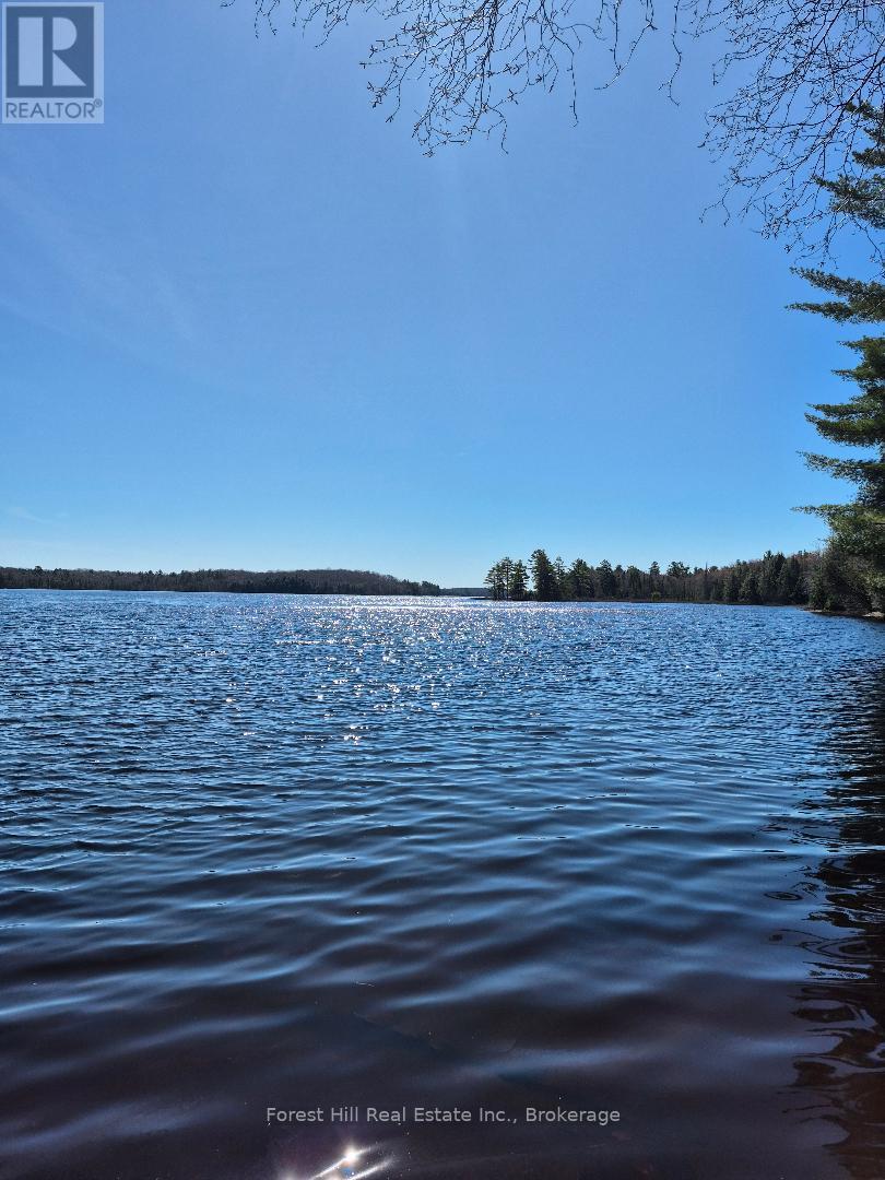 239 Woodland Drive S, Mcmurrich/monteith, Ontario  P0A 1Y0 - Photo 3 - X12898458