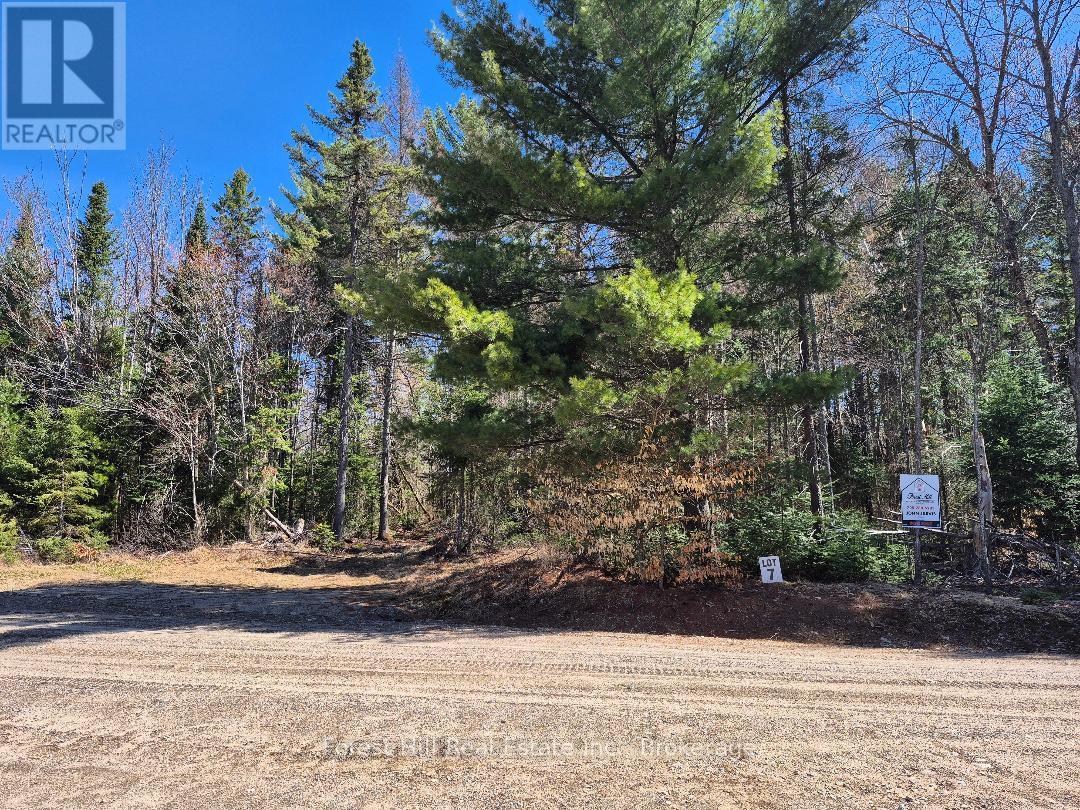 239 Woodland Drive S, Mcmurrich/monteith, Ontario  P0A 1Y0 - Photo 4 - X12898458