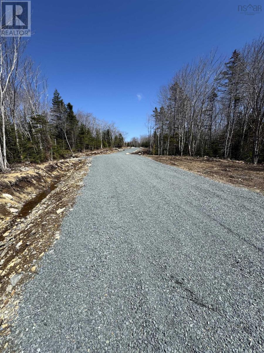 Lot 3 Highway 3, Summerville Heights, Summerville Centre, Nova Scotia  B0T 1T0 - Photo 5 - 202607796