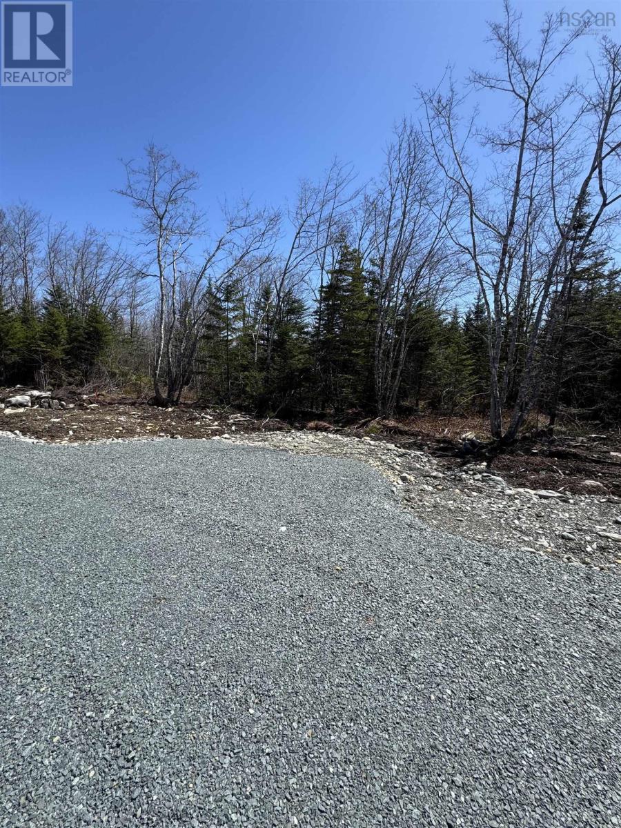 Lot 3 Highway 3, Summerville Heights, Summerville Centre, Nova Scotia  B0T 1T0 - Photo 10 - 202607796