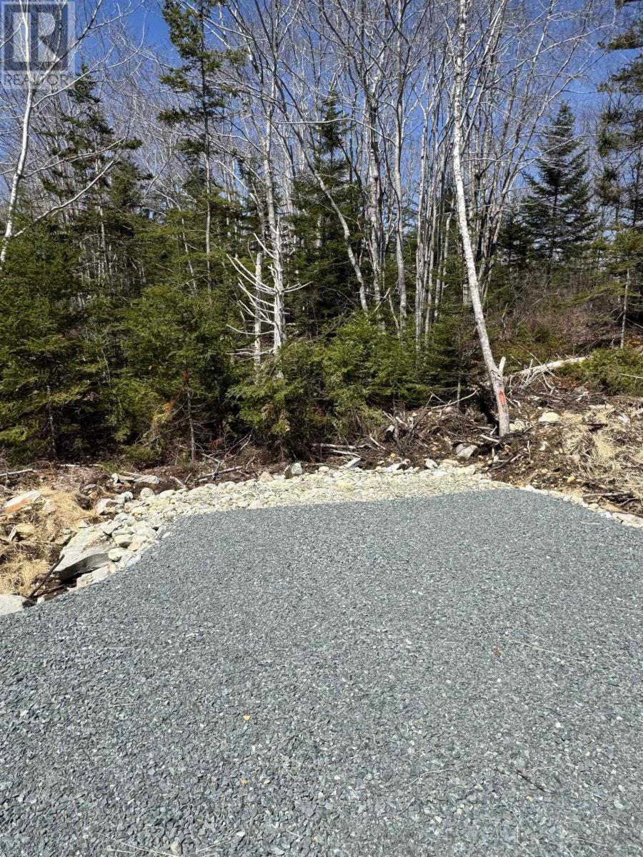 Lot 4 Highway 3, Summerville Heights, Summerville Centre, Nova Scotia  B0T 1T0 - Photo 5 - 202607797