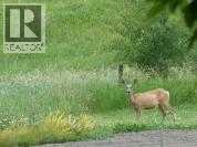 17, 420069 Range Road 284, Rural Ponoka County, Alberta  T4J 1R3 - Photo 15 - A2305344