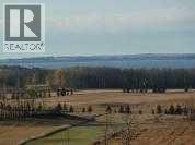 17, 420069 Range Road 284, Rural Ponoka County, Alberta  T4J 1R3 - Photo 5 - A2305344