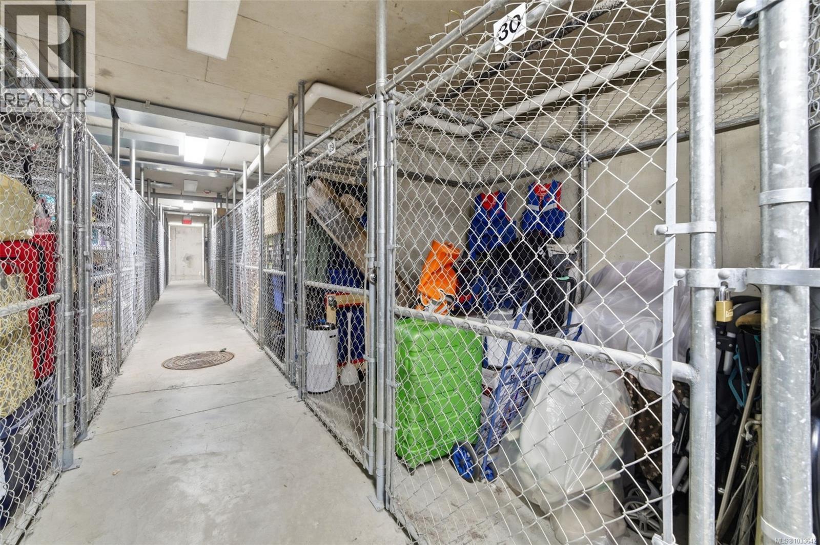 609 827 Fairfield Rd, Victoria, British Columbia  V8V 5B2 - Photo 41 - 1033642