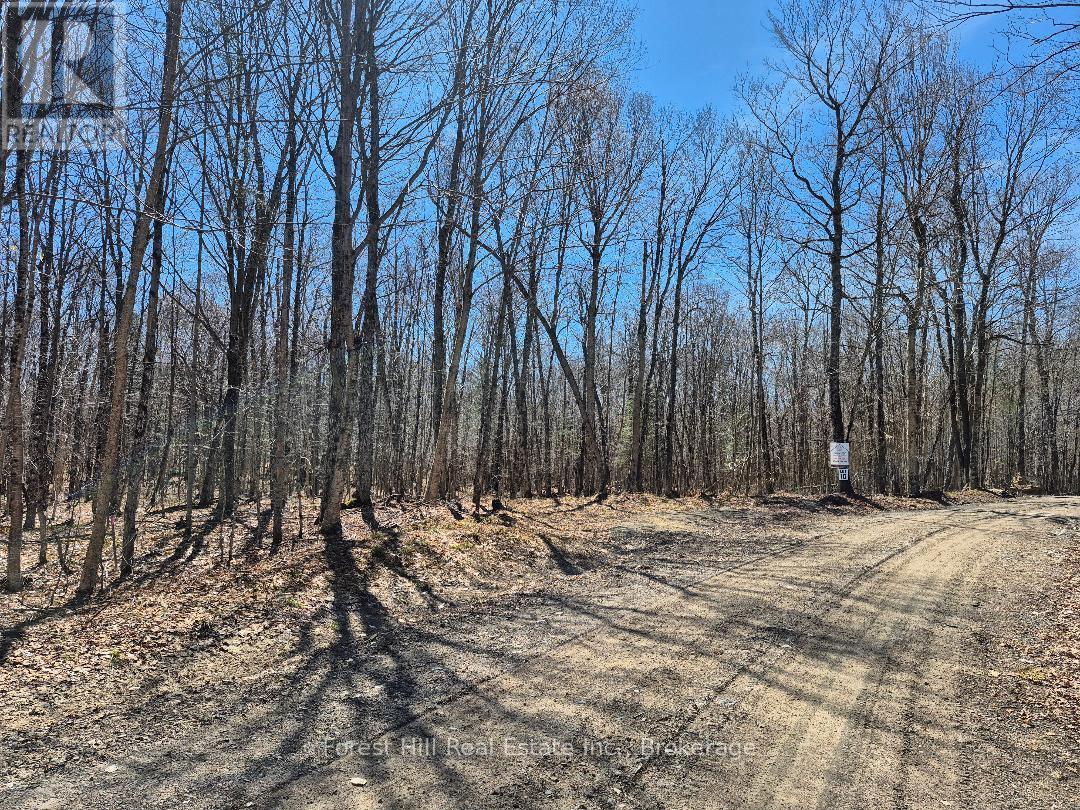 267 Woodland Drive, Mcmurrich/monteith, Ontario  P0A 1Y0 - Photo 4 - X12870342