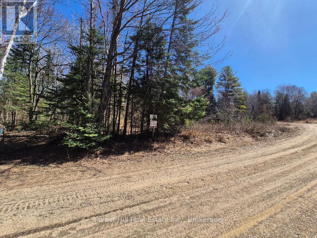 221 Woodland Drive, Mcmurrich/monteith, Ontario  P0A 1Y0 - Photo 8 - X12870432