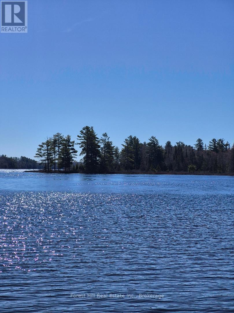 267 Woodland Drive, Mcmurrich/monteith, Ontario  P0A 1Y0 - Photo 3 - X12870342