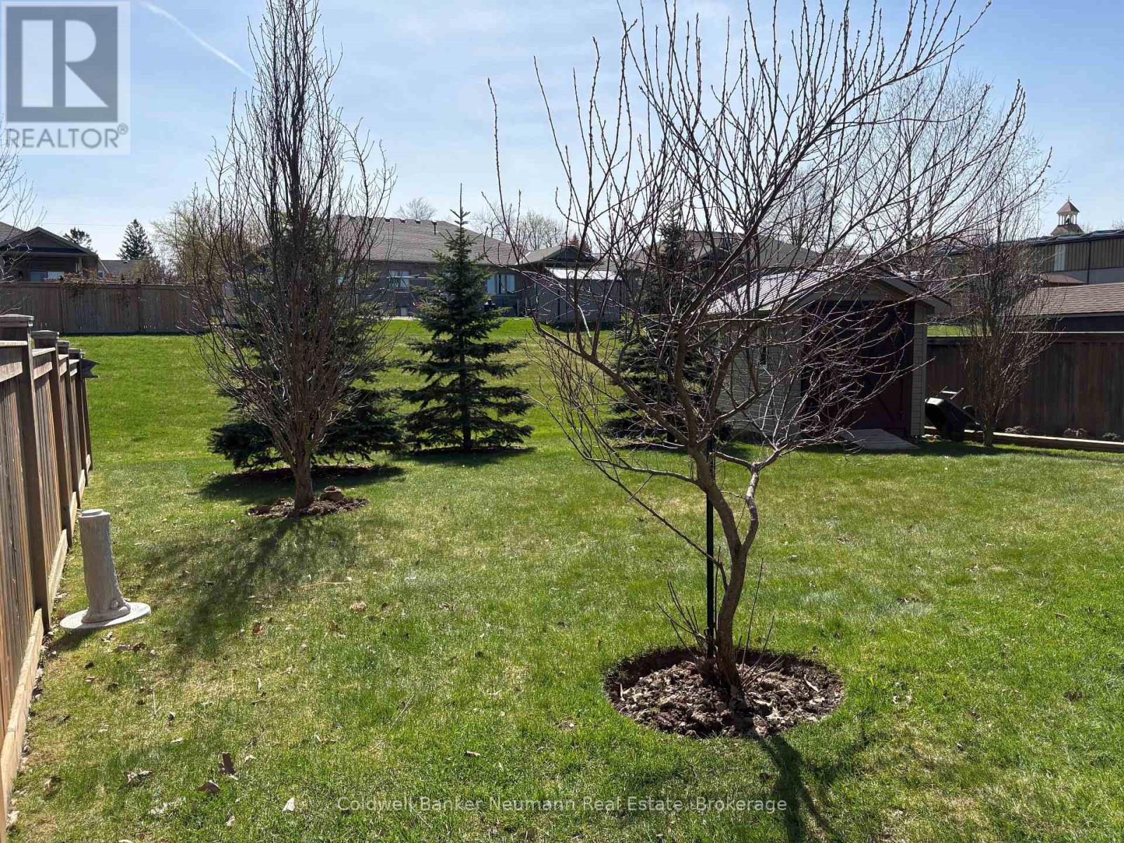 12 Brown Street S, Minto, Ontario  N0G 1M0 - Photo 48 - X12918044