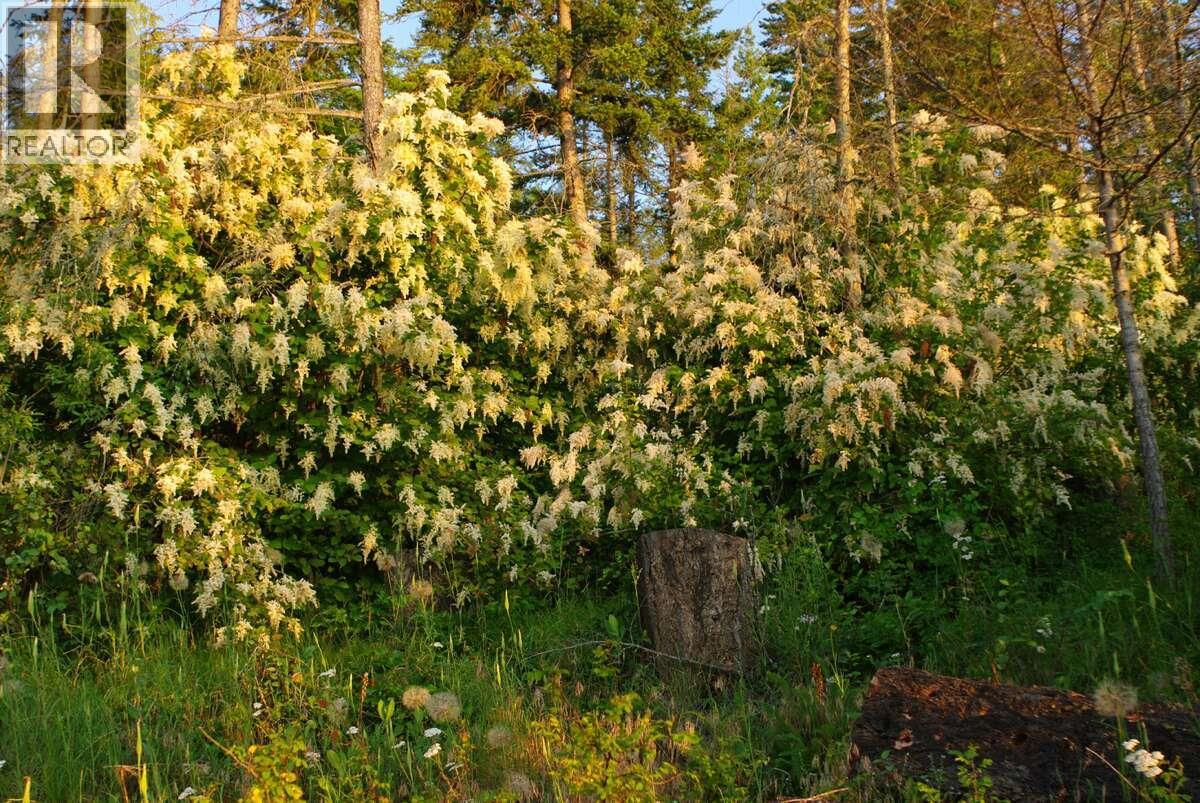 4370 Copper Cove Road, Scotch Creek, British Columbia  V0E 1M5 - Photo 15 - 10385087