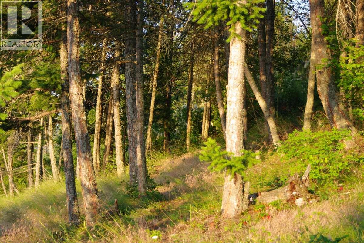 4370 Copper Cove Road, Scotch Creek, British Columbia  V0E 1M5 - Photo 17 - 10385087