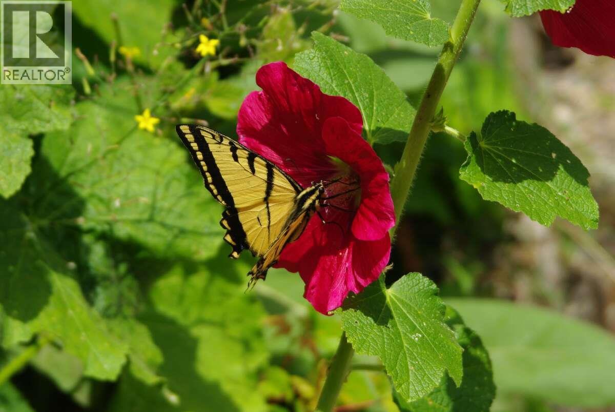 4370 Copper Cove Road, Scotch Creek, British Columbia  V0E 1M5 - Photo 18 - 10385087