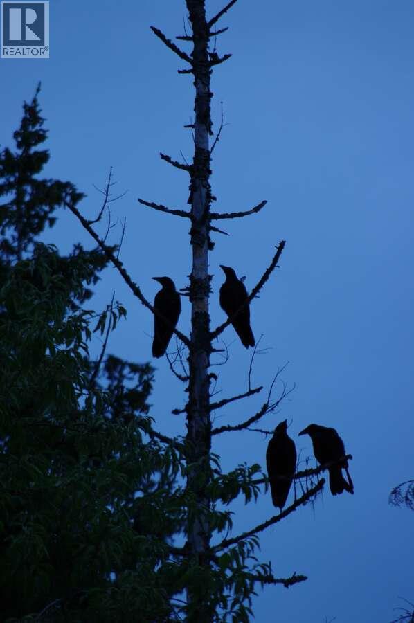 4370 Copper Cove Road, Scotch Creek, British Columbia  V0E 1M5 - Photo 28 - 10385087