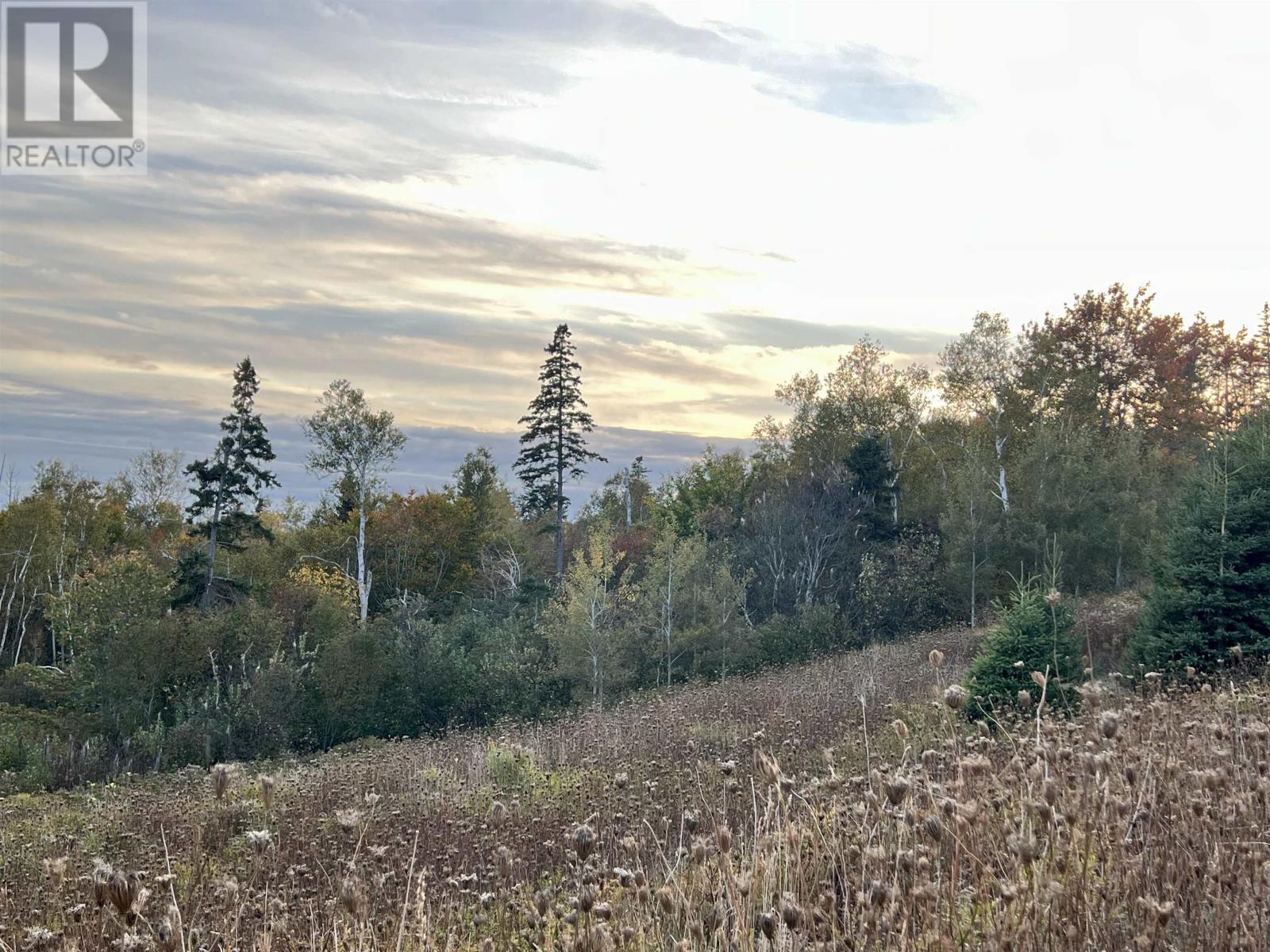 Highland View Drive, New Glasgow, Prince Edward Island  C0A 1N0 - Photo 49 - 202608746