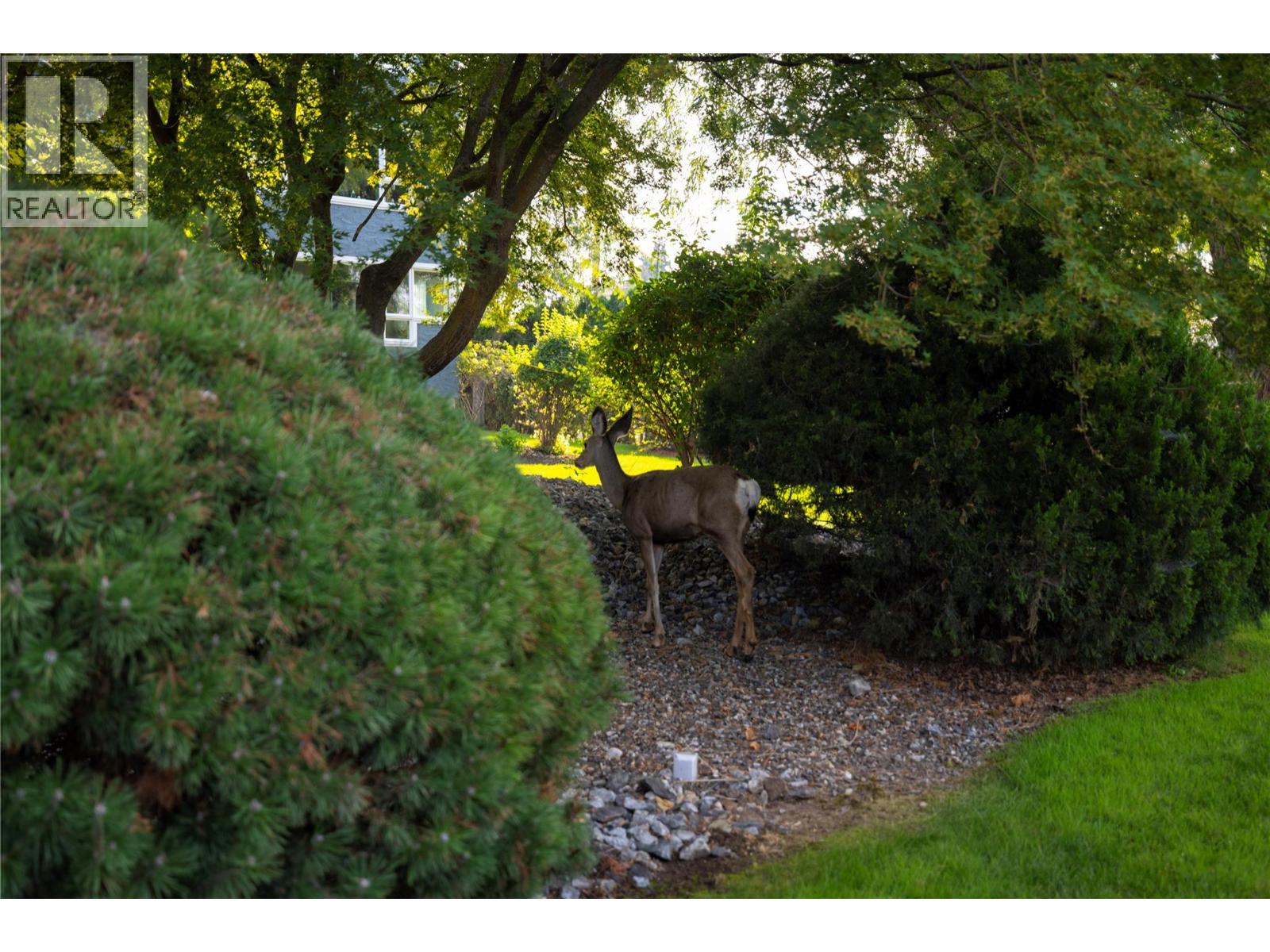 1045 Sutherland Avenue Unit# 115b, Kelowna, British Columbia  V1Y 5Y1 - Photo 19 - 10384150