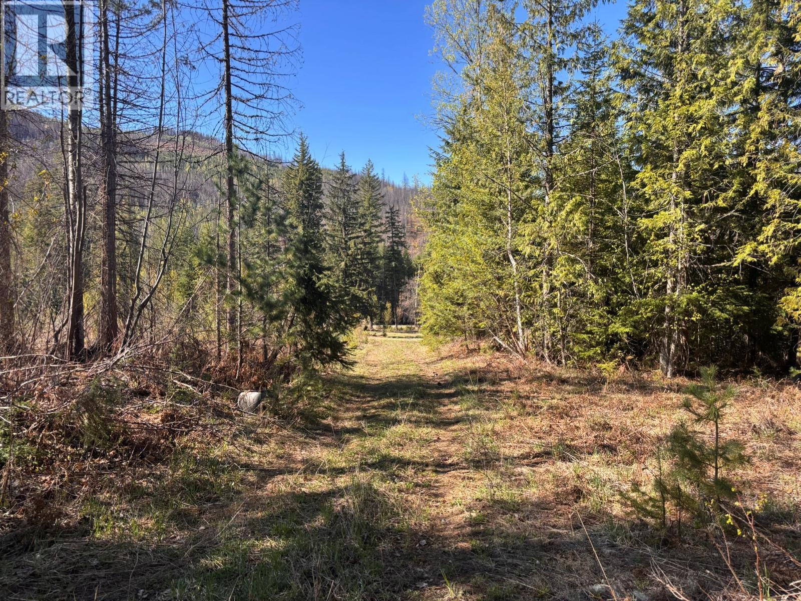 4095 Meadow Creek Road, Celista, British Columbia  V0E 1M6 - Photo 14 - 10385086