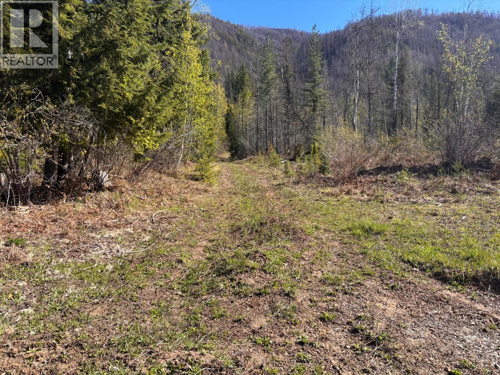 4095 Meadow Creek Road, Celista, British Columbia  V0E 1M6 - Photo 3 - 10385086