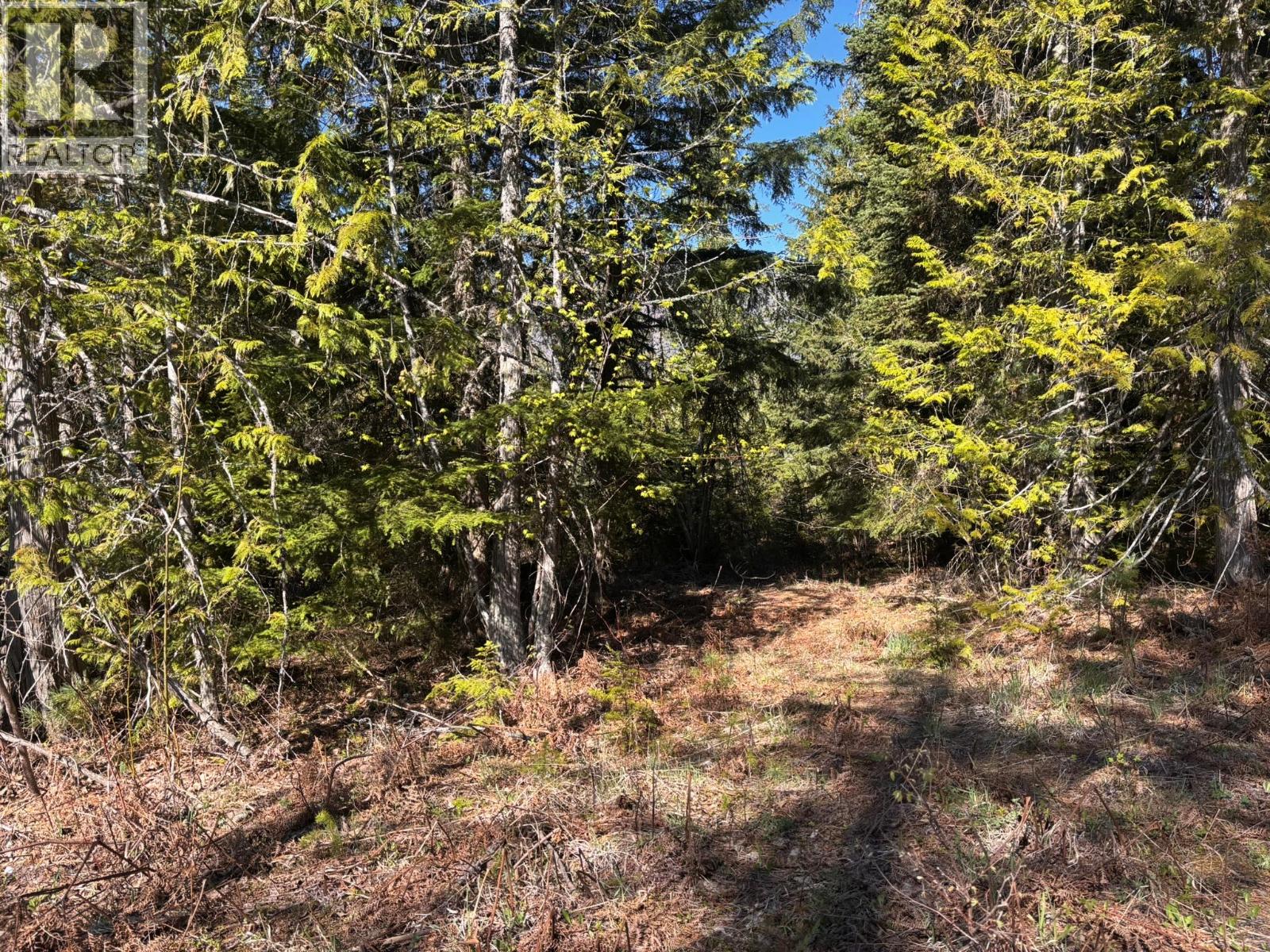 4095 Meadow Creek Road, Celista, British Columbia  V0E 1M6 - Photo 8 - 10385086