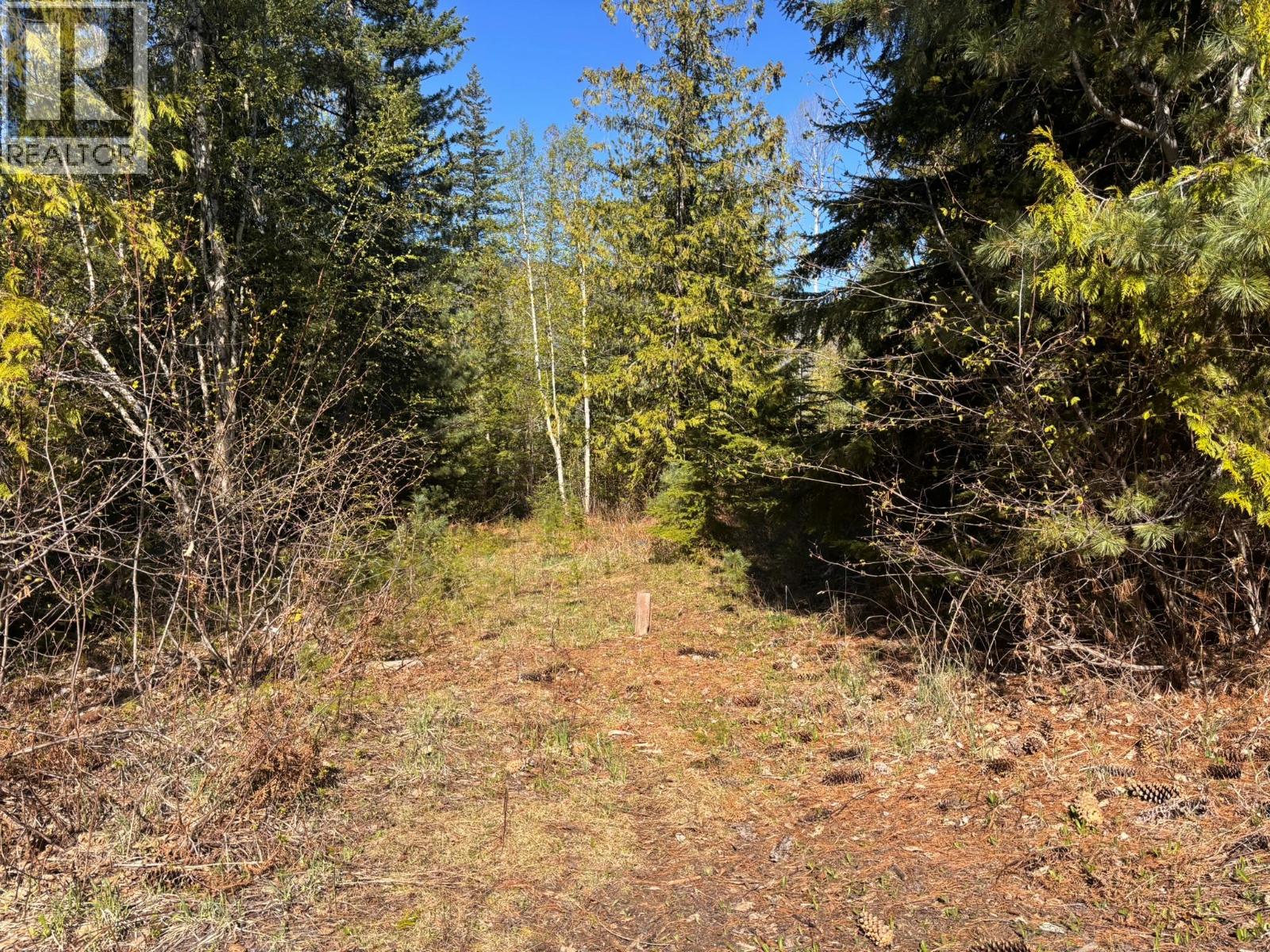 4095 Meadow Creek Road, Celista, British Columbia  V0E 1M6 - Photo 9 - 10385086