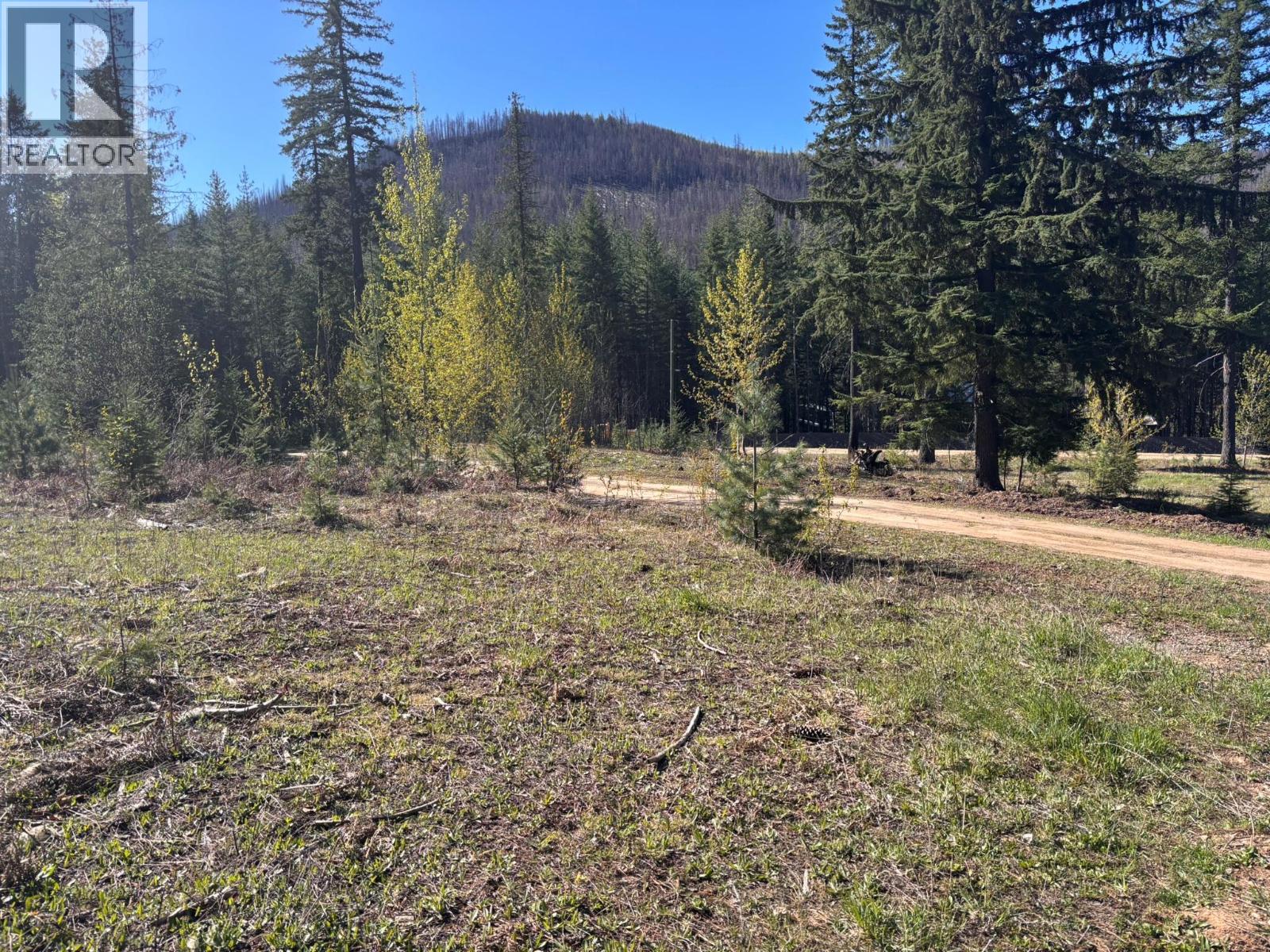 4095 Meadow Creek Road, Celista, British Columbia  V0E 1M6 - Photo 6 - 10385086