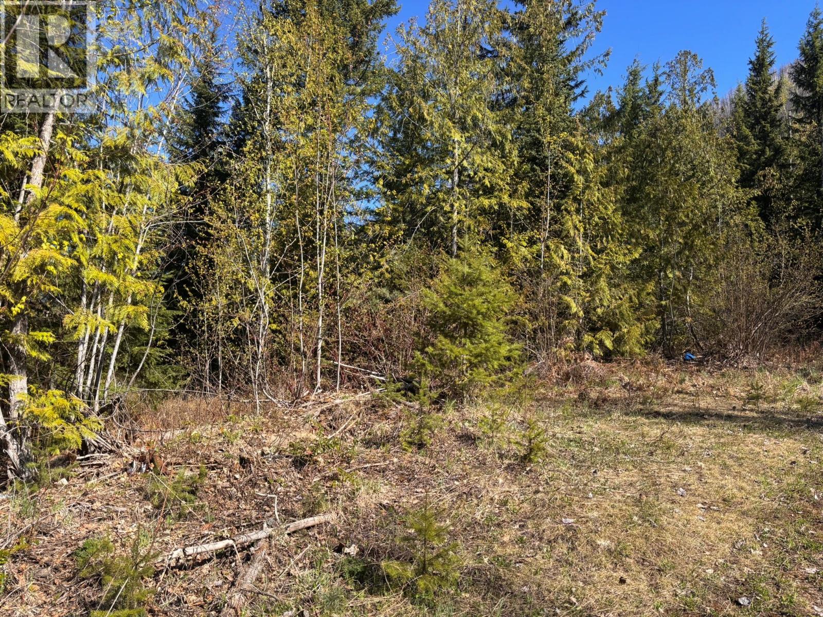 4095 Meadow Creek Road, Celista, British Columbia  V0E 1M6 - Photo 13 - 10385086