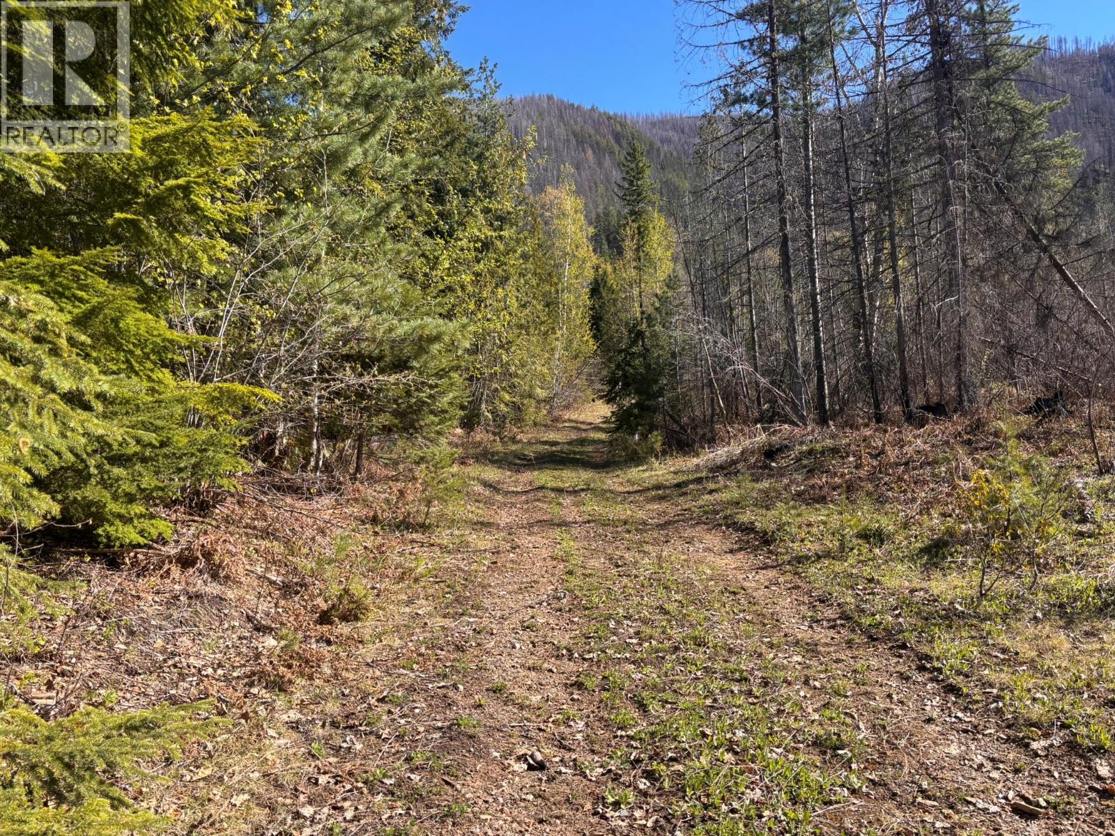 4095 Meadow Creek Road, Celista, British Columbia  V0E 1M6 - Photo 7 - 10385086