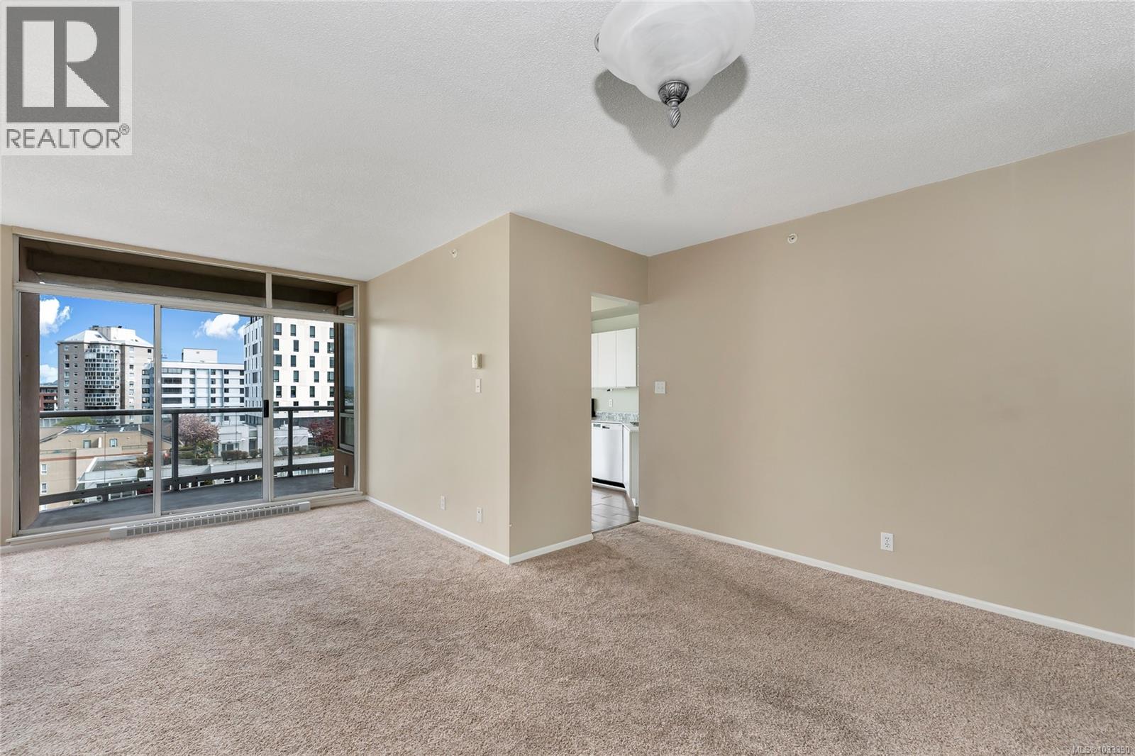 1004 1020 View St, Victoria, British Columbia  V8V 4Y4 - Photo 5 - 1033390