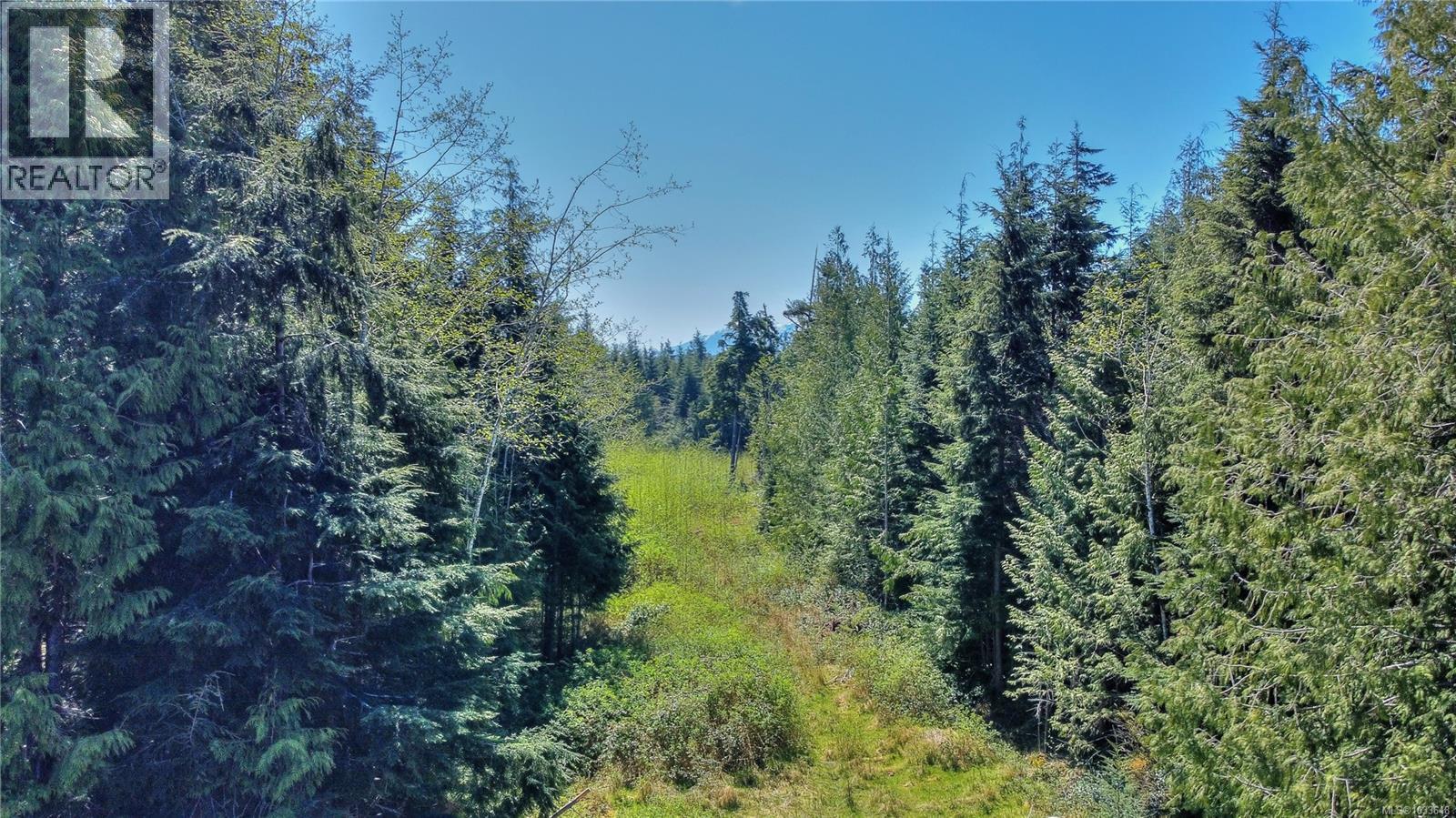 580 Glover Rd, Hyde Creek, British Columbia  V0N 2R0 - Photo 11 - 1033648