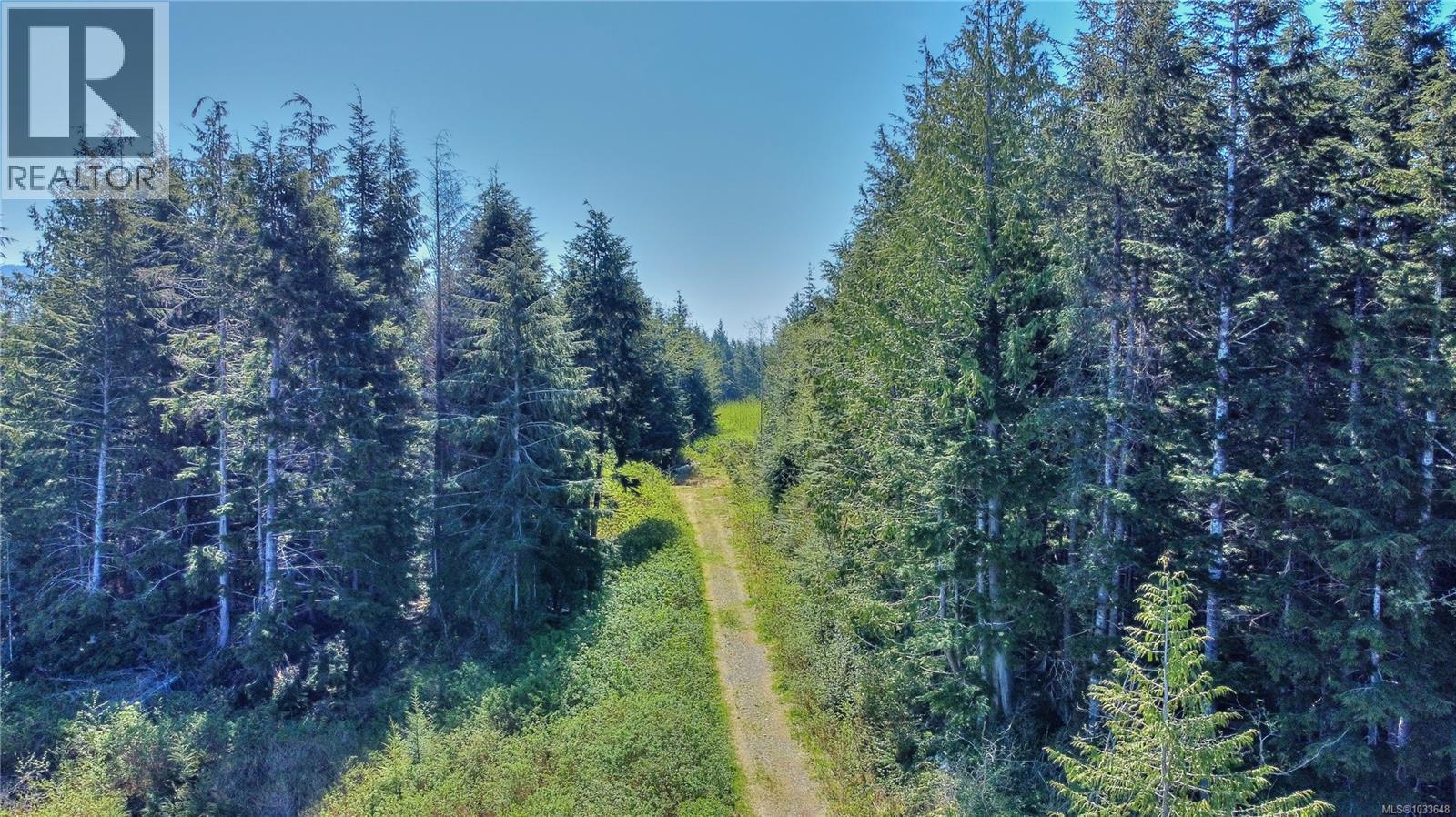 580 Glover Rd, Hyde Creek, British Columbia  V0N 2R0 - Photo 12 - 1033648