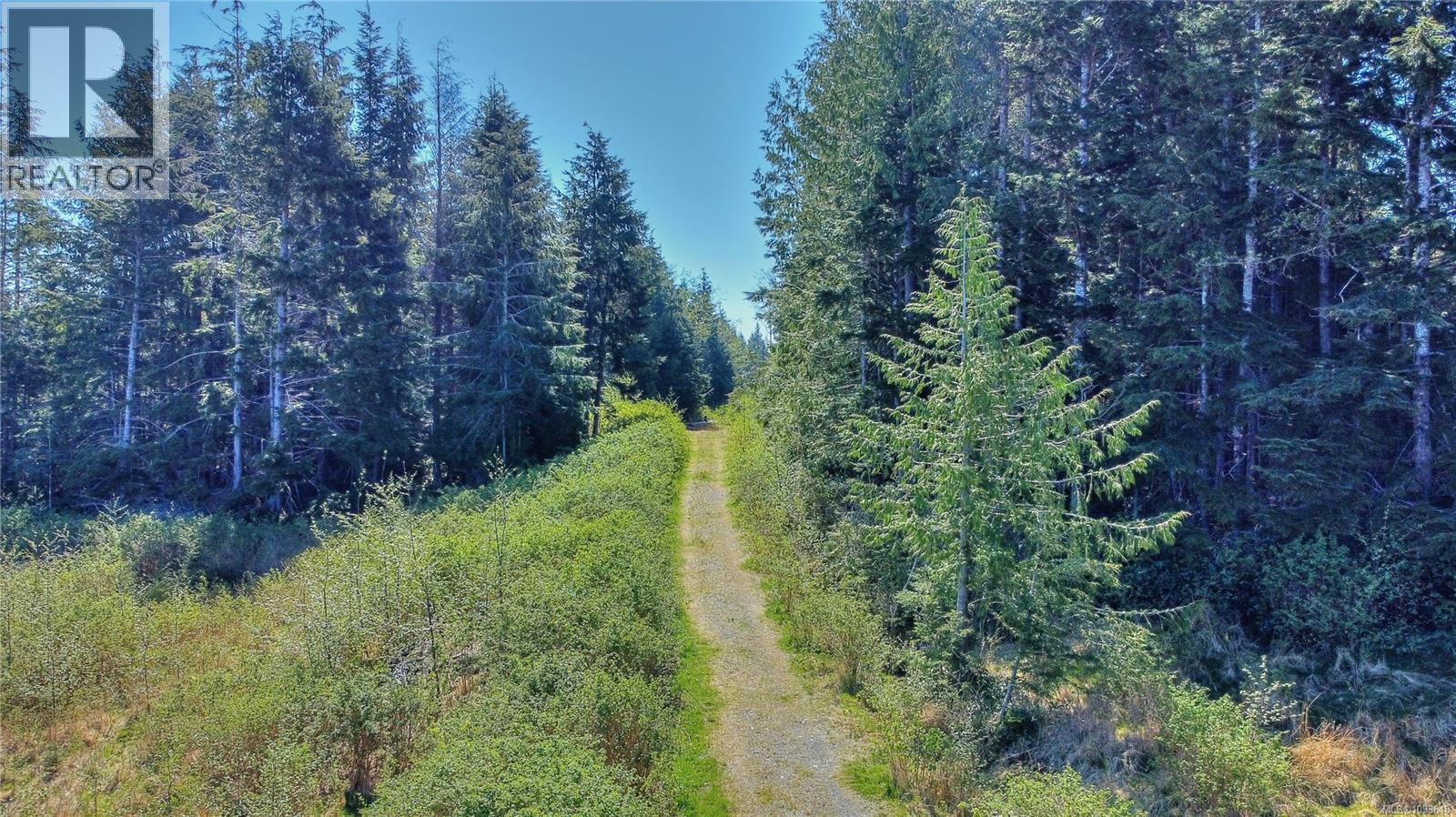 580 Glover Rd, Hyde Creek, British Columbia  V0N 2R0 - Photo 14 - 1033648