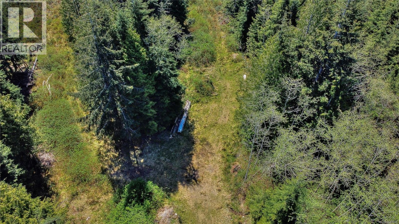 580 Glover Rd, Hyde Creek, British Columbia  V0N 2R0 - Photo 6 - 1033648