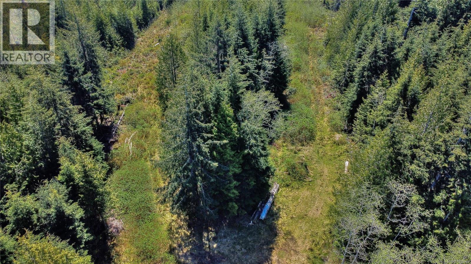 580 Glover Rd, Hyde Creek, British Columbia  V0N 2R0 - Photo 7 - 1033648