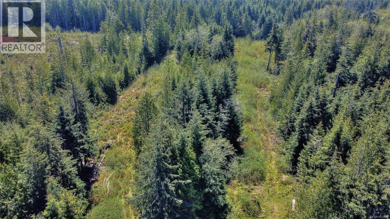 580 Glover Rd, Hyde Creek, British Columbia  V0N 2R0 - Photo 8 - 1033648