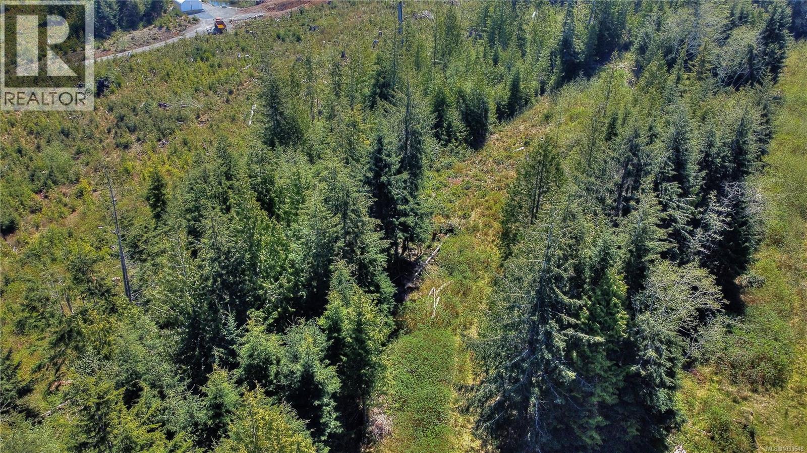 580 Glover Rd, Hyde Creek, British Columbia  V0N 2R0 - Photo 9 - 1033648