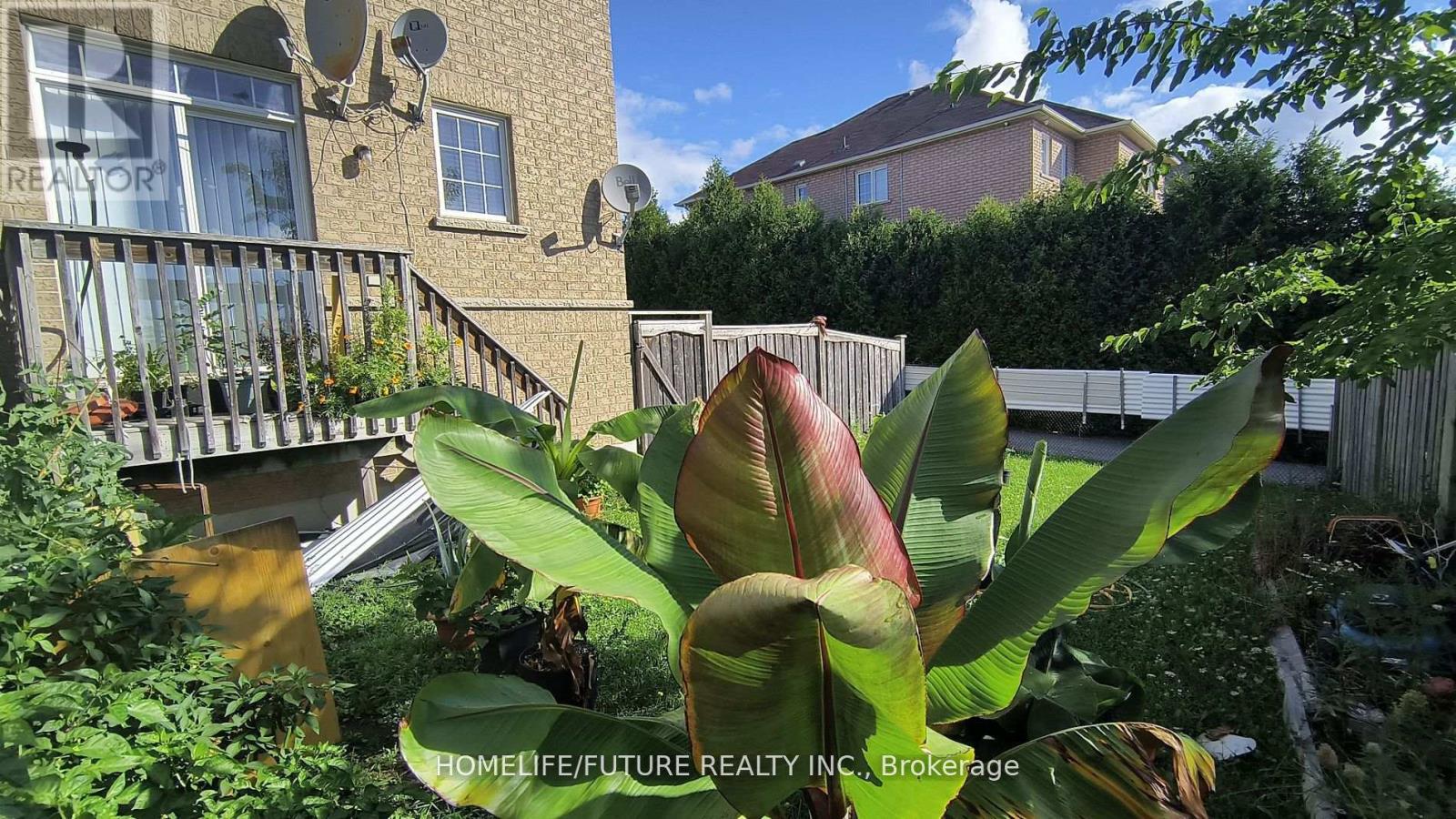 315 Elson Street, Markham, Ontario  L3S 4S4 - Photo 23 - N13049704