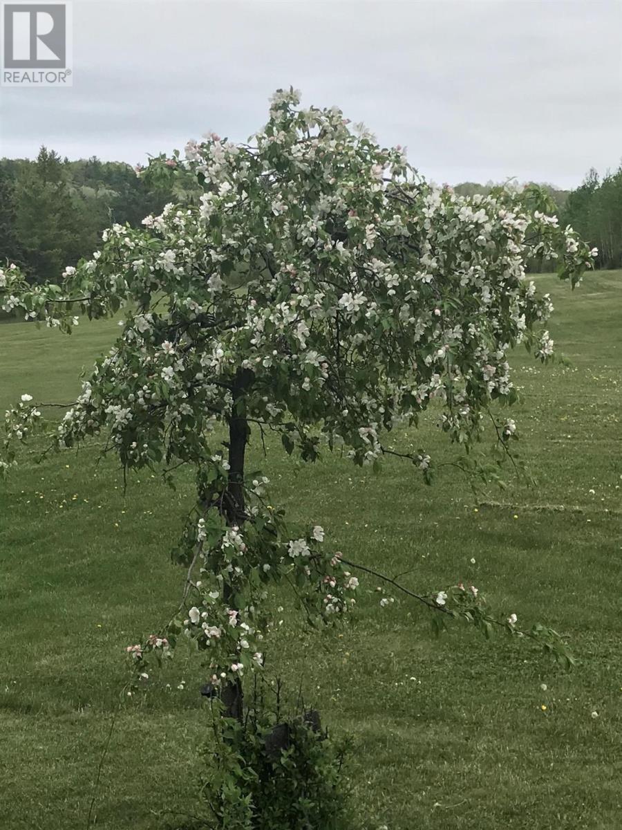 221 Mccarrel Lake Rd, Echo Bay, Ontario  P0S 1C0 - Photo 31 - SM260754