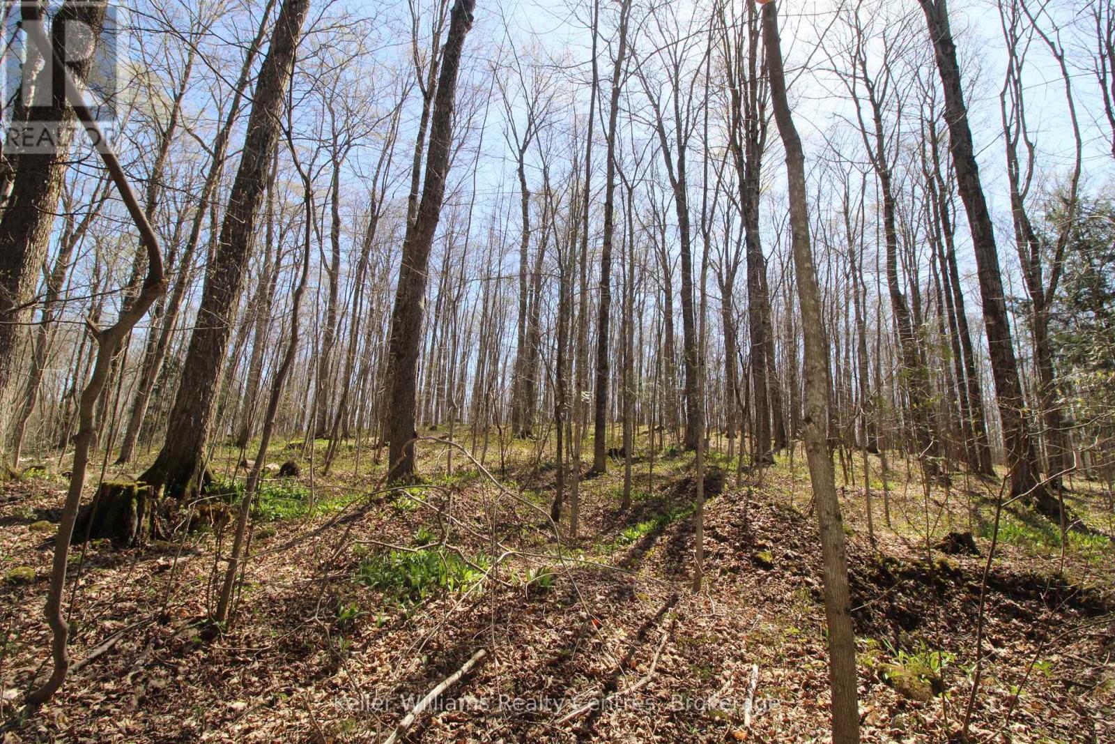 120 Anderson Drive S, West Grey, Ontario  N0G 1S0 - Photo 10 - X13050500