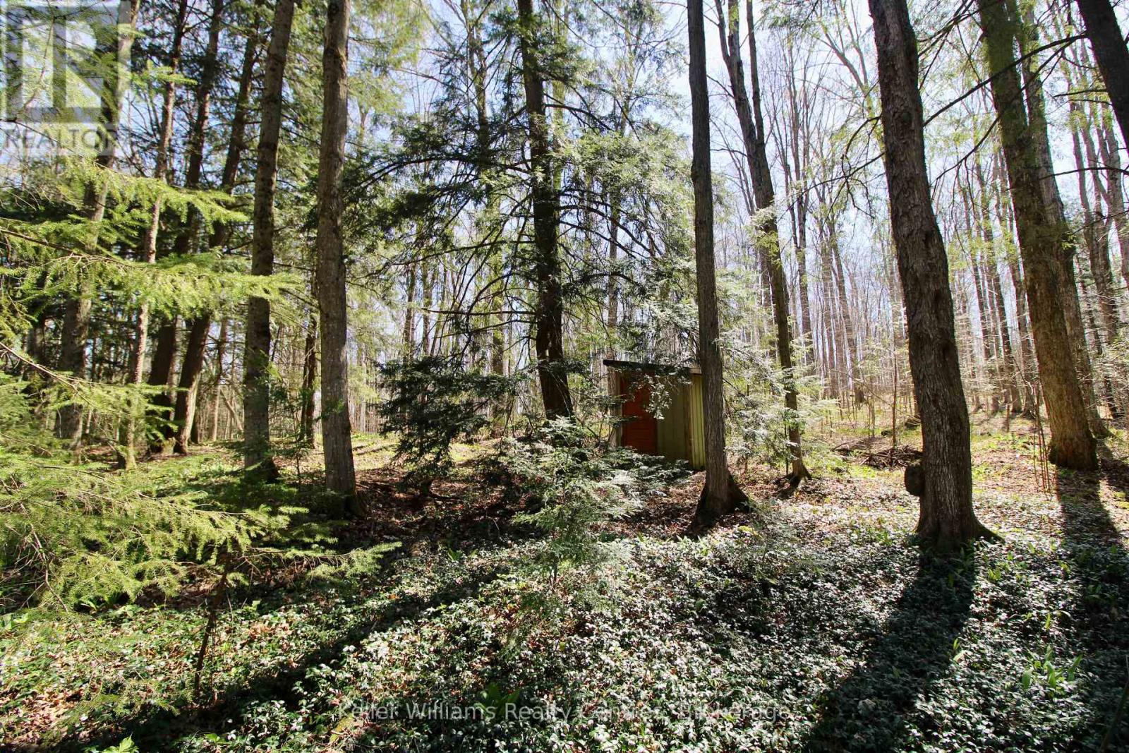 120 Anderson Drive S, West Grey, Ontario  N0G 1S0 - Photo 9 - X13050500