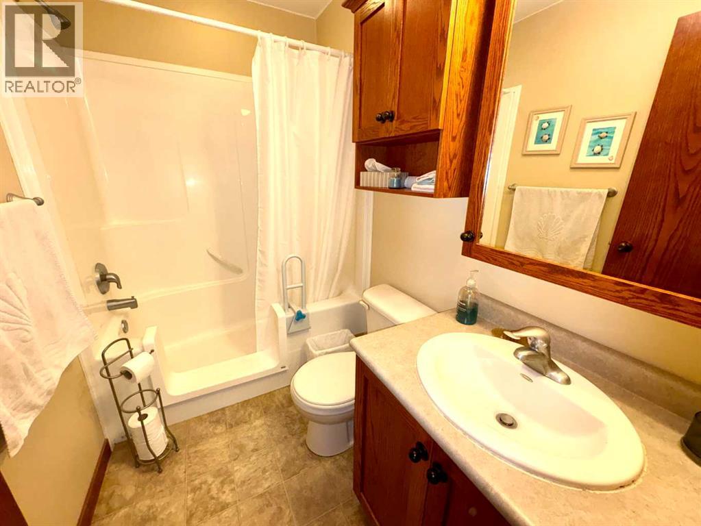 4721 52 Street, Innisfree, Alberta  T0B 2G0 - Photo 10 - A2301839