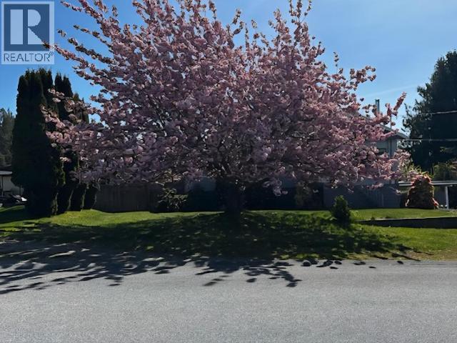 7170 Jordan Street, Powell River, British Columbia  V8A 1M9 - Photo 3 - 19619