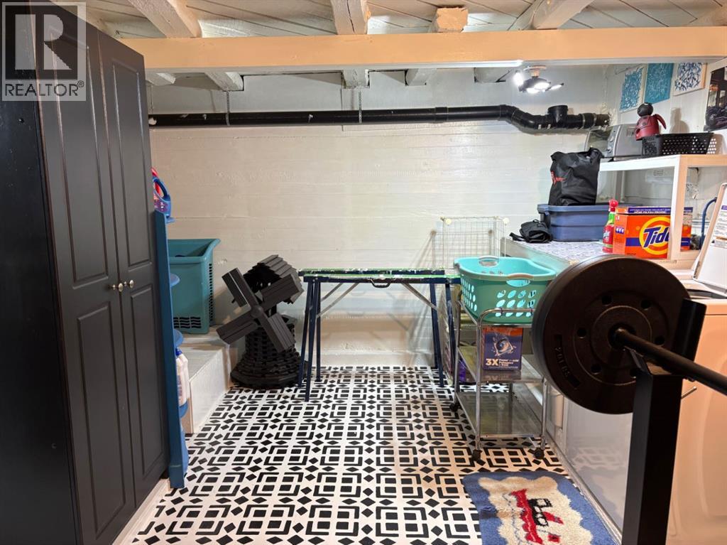 4523 48 Avenue, Rocky Mountain House, Alberta  T4T 1C4 - Photo 15 - A2304659