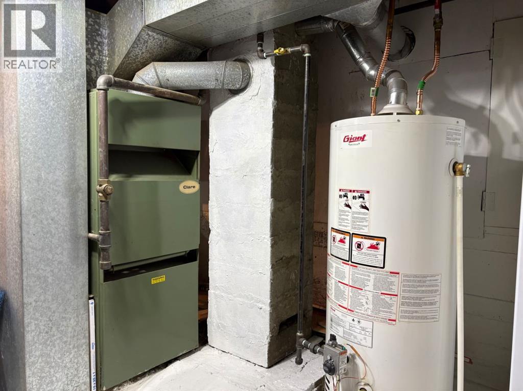 4523 48 Avenue, Rocky Mountain House, Alberta  T4T 1C4 - Photo 18 - A2304659