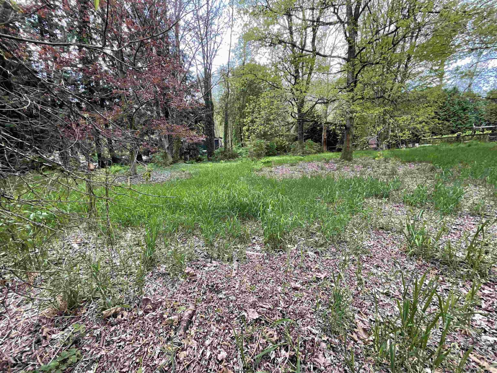 142 Kilby Road, Harrison Mills, Harrison Mills, British Columbia  V0M 1L0 - Photo 4 - R3116450