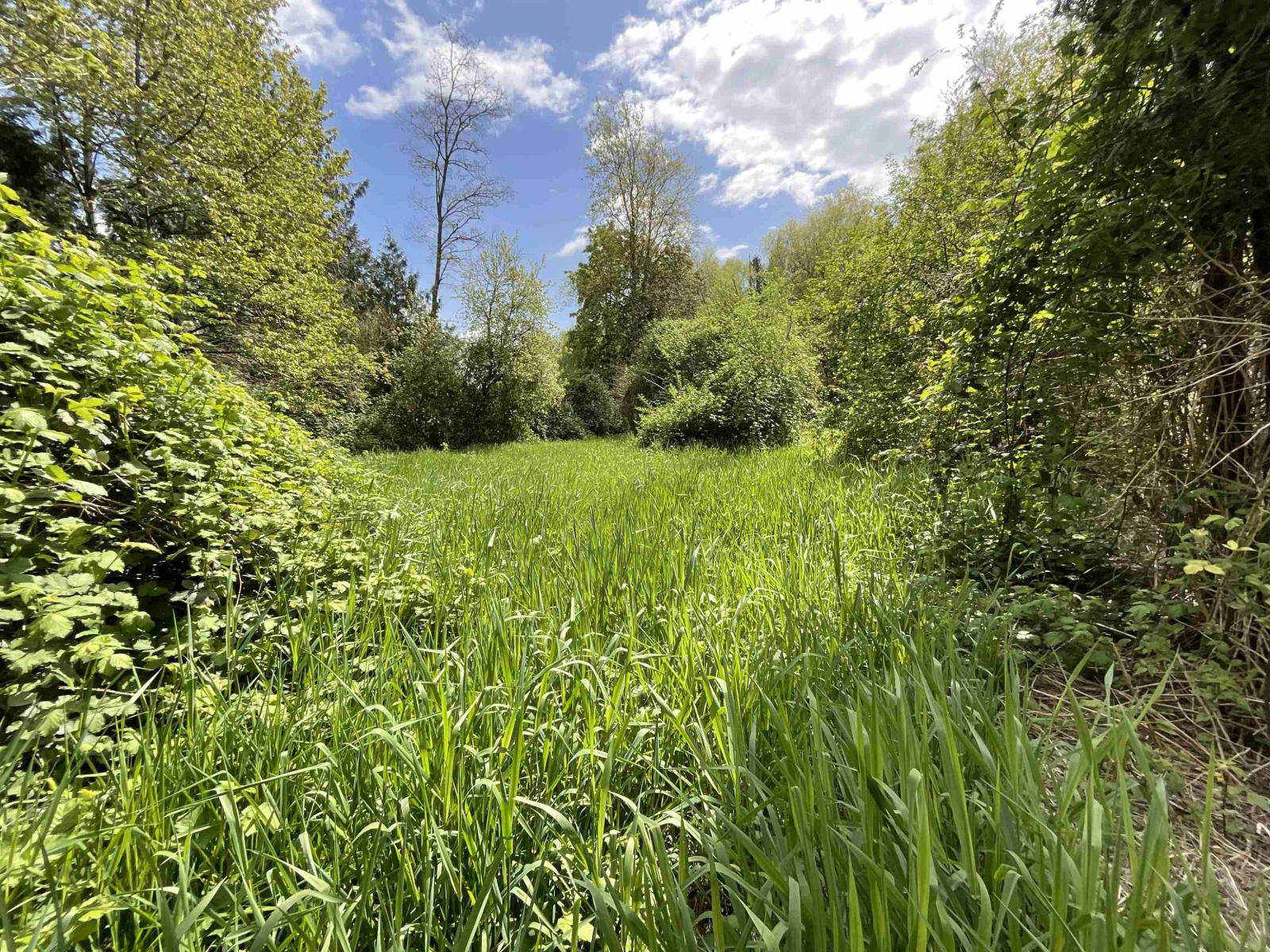 142 Kilby Road, Harrison Mills, Harrison Mills, British Columbia  V0M 1L0 - Photo 8 - R3116450