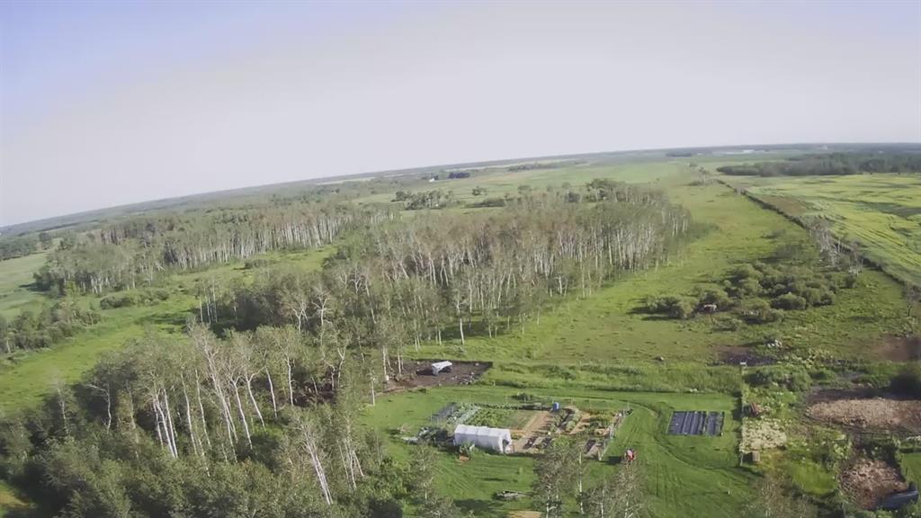 25088 Pr 403 Highway, De Salaberry, Manitoba  R0A 1T0 - Photo 7 - 202608443