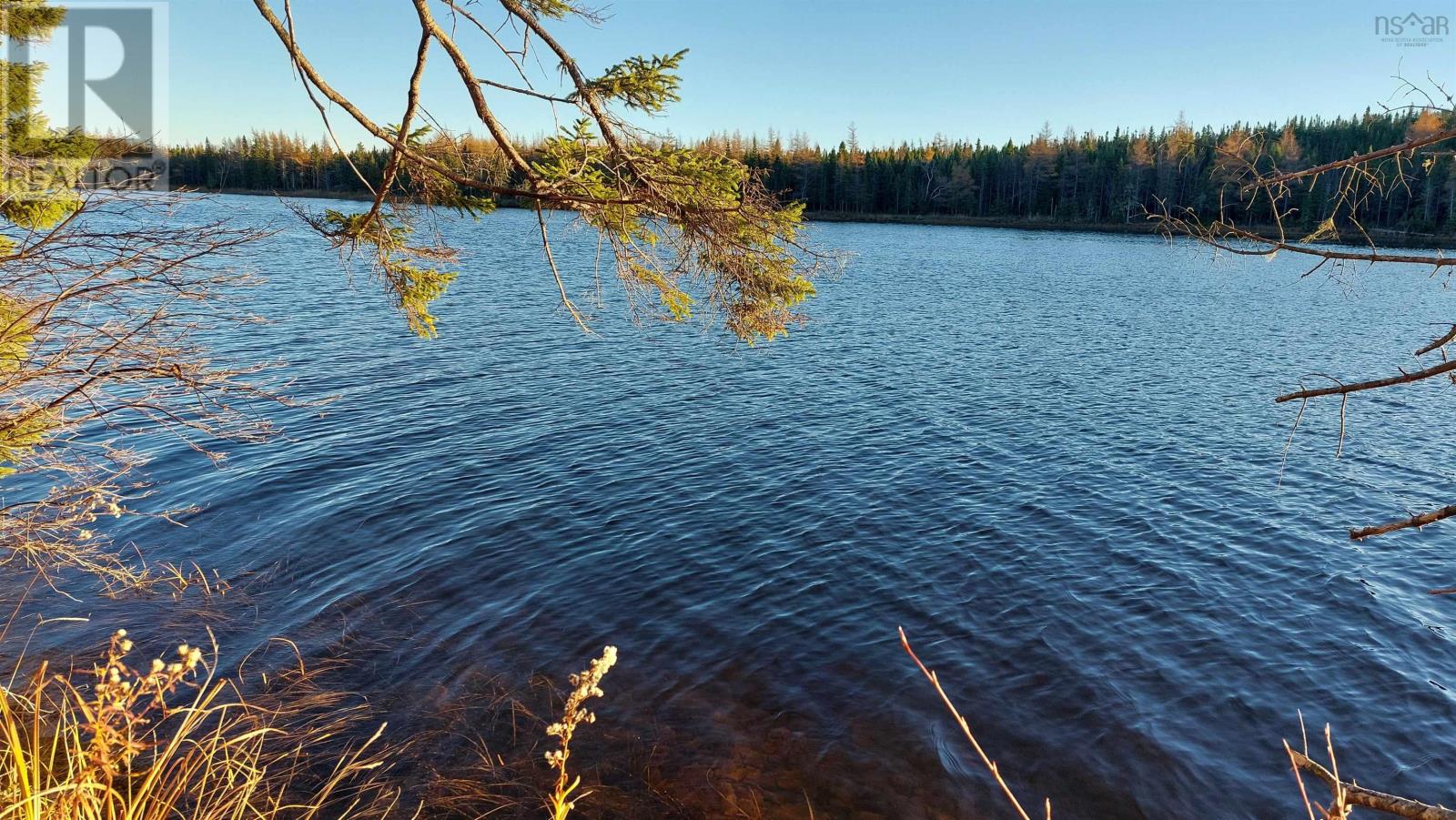 Lot 28 Helmuts Lane, Cleveland, Nova Scotia  B0E 1J0 - Photo 4 - 202603560
