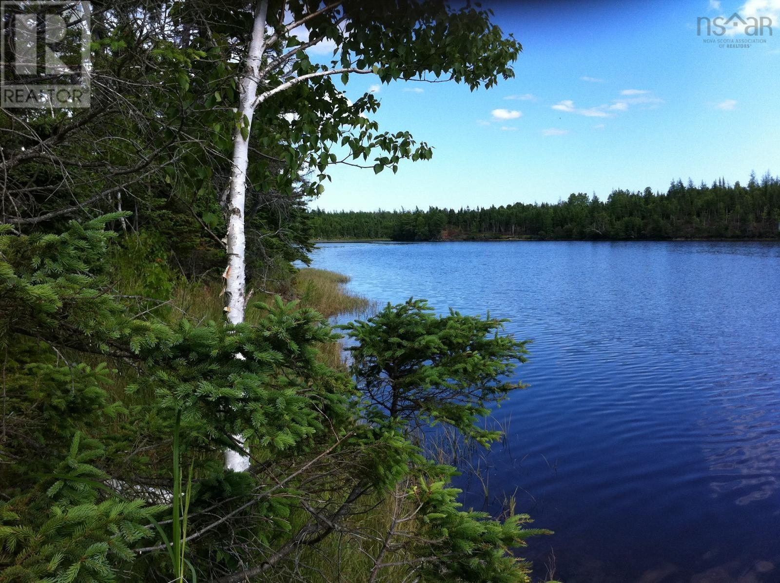 Lot 28 Helmuts Lane, Cleveland, Nova Scotia  B0E 1J0 - Photo 12 - 202603560
